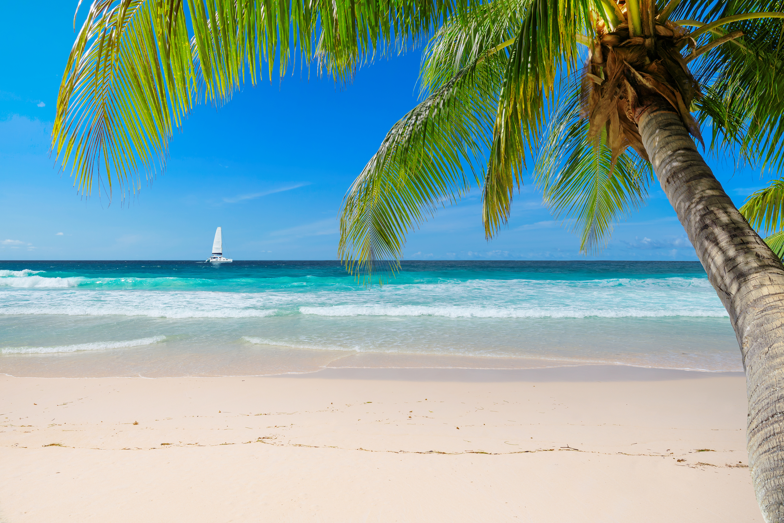 Caribbean